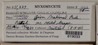 Image Associated With the Occurence